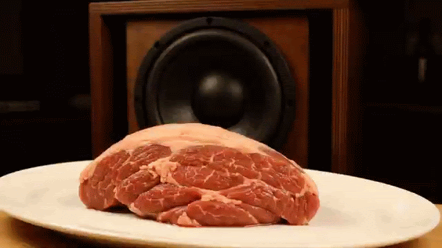 A 40 Hz subwoofer behind a USDA Grade A rump roast on a white plate
